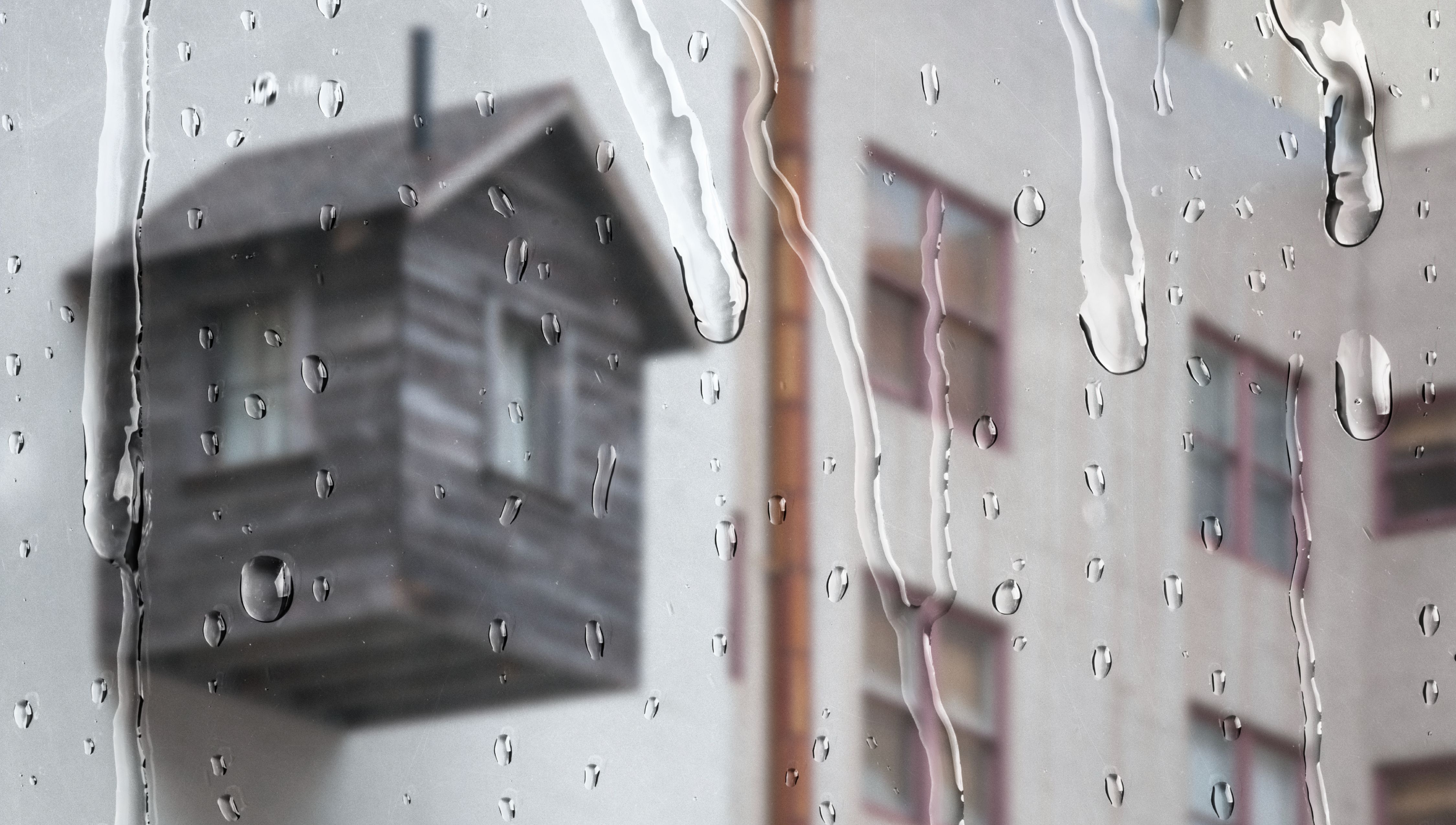 litet hos på vit vägg och fönster med droppar